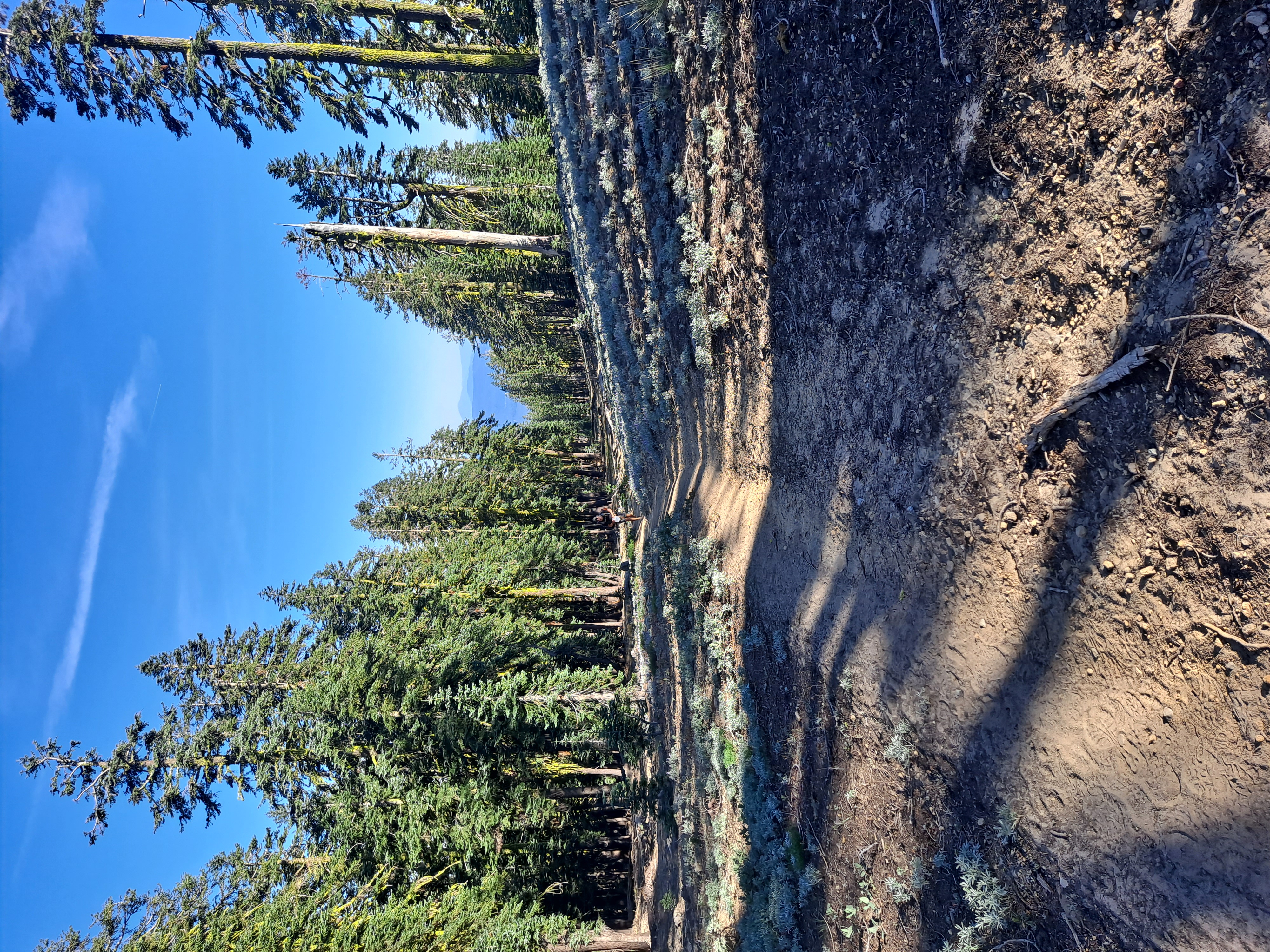 Clear Creek Trail Heading Up to Base Camp